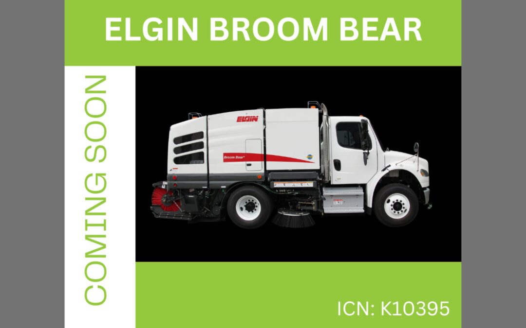 Elgin Broom Bear